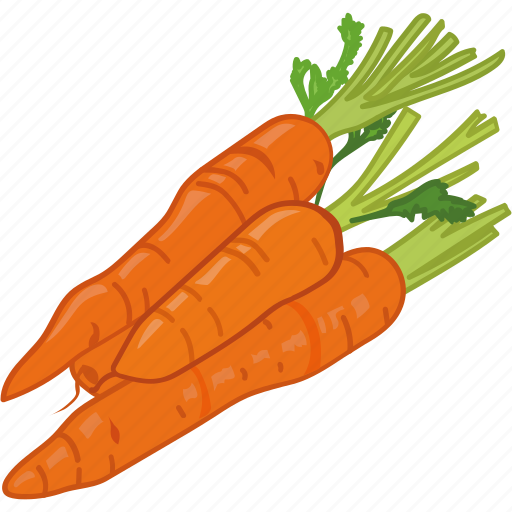 Carrot, cooking, root, vegetable, veggie icon - Download on Iconfinder