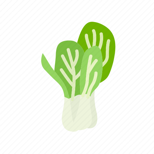 Bok choy, chinese cabbage, farm, food, vegetable, vegetarian icon - Download on Iconfinder