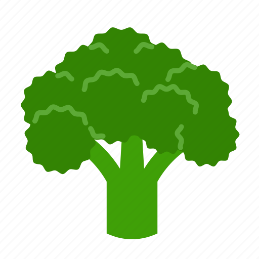 Broccoli, food, greens, leafy, vegetable, veggies, organic icon - Download on Iconfinder