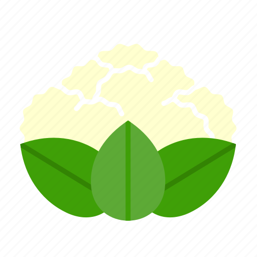 Cauliflower, broccoli, cabbage, vegetable, organic, food, healthy icon - Download on Iconfinder