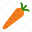 carrot, food, organic, root, vegetable, vegetables, veggie 