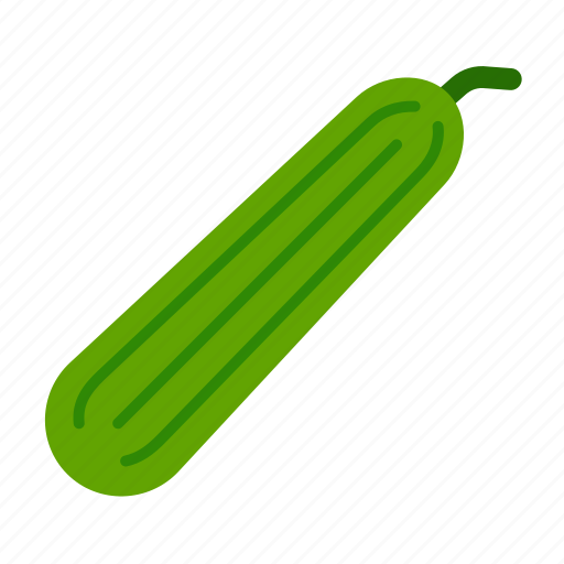 Cucumber, cucumis sativus, food, healthy, vegetable, vegetables, salad icon - Download on Iconfinder