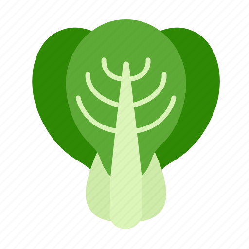 Bok choy, food, healthy, cabbage, chinese, pak choi, vegetable icon - Download on Iconfinder