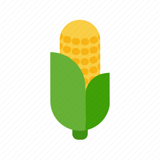 Maize, corn, food, cob, grain, organic, cereal icon - Download on Iconfinder