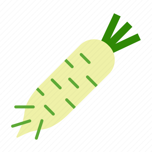 Daikon, food, white radish, root, vegetable, parsnip, healthy icon - Download on Iconfinder