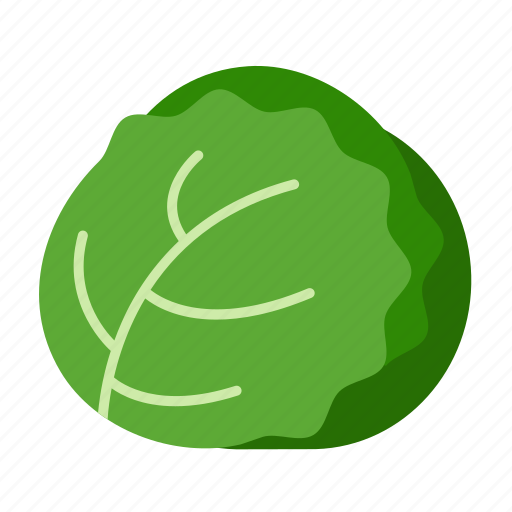 Cabbage, food, lettuce, organic, vegetable, headed, healthy icon - Download on Iconfinder