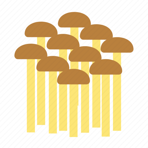 Enoki, enokitake, golden needle, organic, mushroom, flammulina, mushrooms icon - Download on Iconfinder