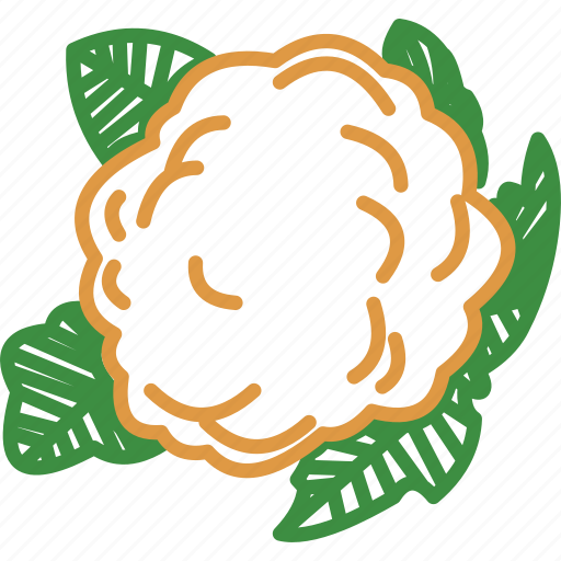 Cauliflower, cauliflower leaf, vegetables icon icon - Download on Iconfinder