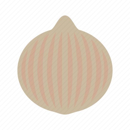 Coloredbeans, onion icon - Download on Iconfinder