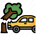 tree, on, car, accident, insurance, accidentally