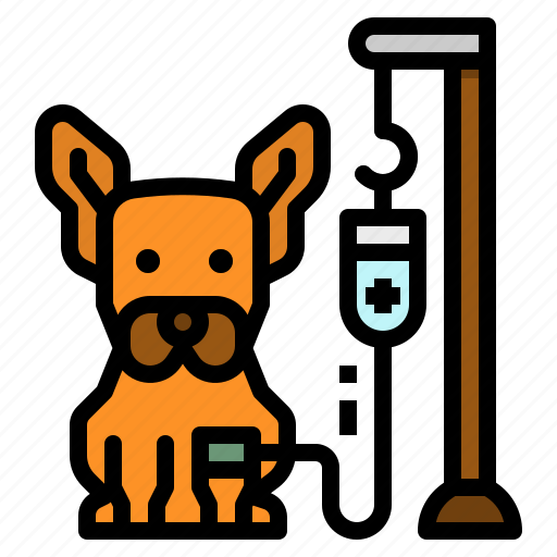 Dog, healthcare, medical, saline, veterinary icon - Download on Iconfinder