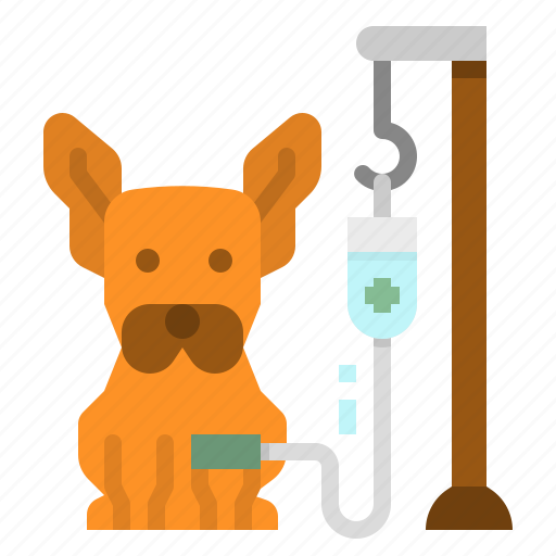 Dog, healthcare, medical, saline, veterinary icon - Download on Iconfinder