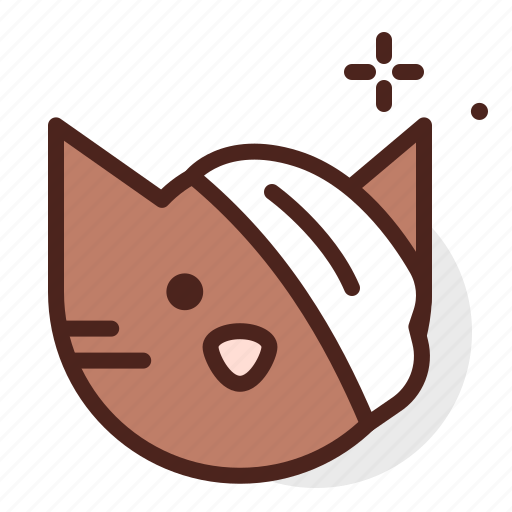 Bandage, cat, pet, vet icon - Download on Iconfinder
