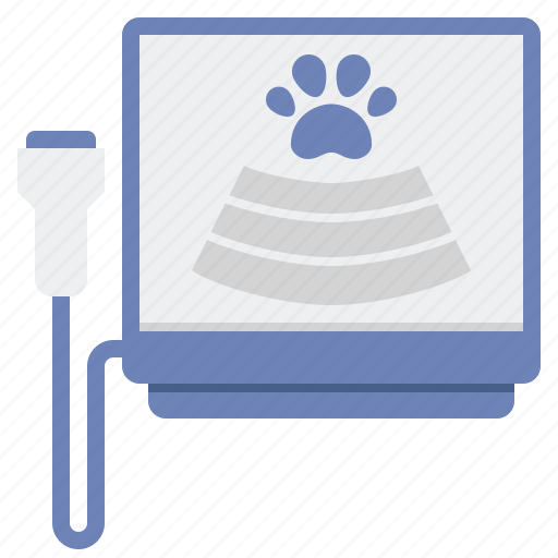 Pet, ultrasound, animal icon - Download on Iconfinder