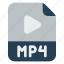 format, mp4, extension, file format 