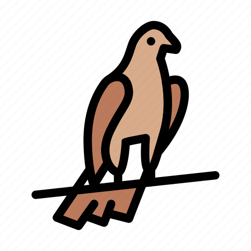 Pigeon, viking, bird, dove, communication icon - Download on Iconfinder
