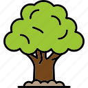 oak, tree, generic, shrub, icon