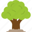 oak, tree, generic, shrub, icon 