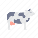 cow, animal, farm, cattle