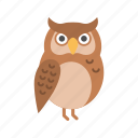 owl, bird, night, wisdom