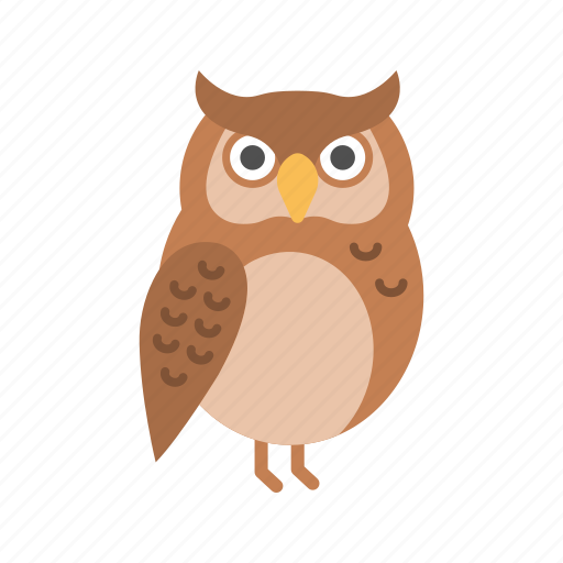Owl, bird, night, wisdom icon - Download on Iconfinder