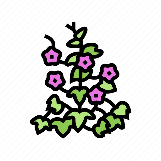 Morning, glory, vine, liana, exotic, growing icon - Download on Iconfinder