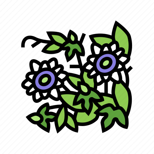 Passiflora, flower, liana, vine, exotic, growing icon - Download on Iconfinder