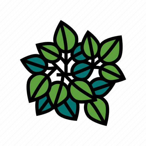 Poison, ivy, vine, liana, exotic, growing icon - Download on Iconfinder