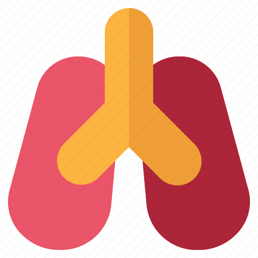 Anatomy, lung, medical, organ icon - Download on Iconfinder