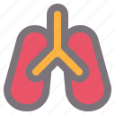anatomy, lung, medical, organ 