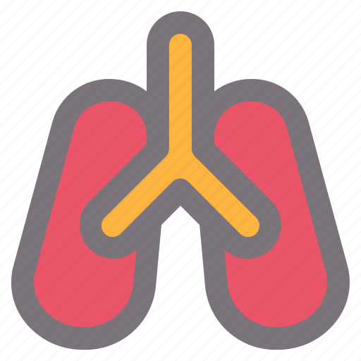 Anatomy, lung, medical, organ icon - Download on Iconfinder