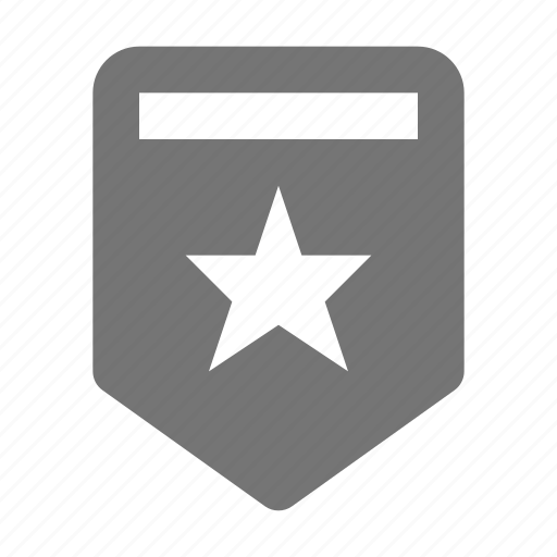 Badge, medal, prize, reward, star icon - Download on Iconfinder