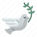dove, freedom, bird, peace, pigeon