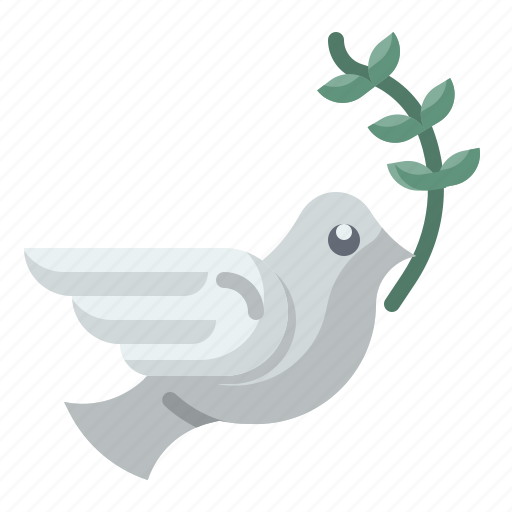 Dove, freedom, bird, peace, pigeon icon - Download on Iconfinder