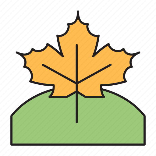 Autumn, grass, green, leaf, weather icon - Download on Iconfinder