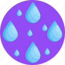 droplets, drop, water, rain, weather