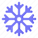 snowflake, ice flake, crystal snowflake, christmas snowflake, snowdrift