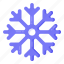 snowflake, ice flake, crystal snowflake, christmas snowflake, snowdrift 