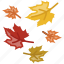 autumn, fall, leaves, weather 