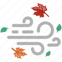 autumn, direction, fall, leaves, weather, wind 