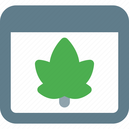 Web, leaf, apps, website icon - Download on Iconfinder