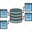 database, design, organize, hosting, domain 