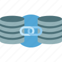 database, connection, storage, link, server