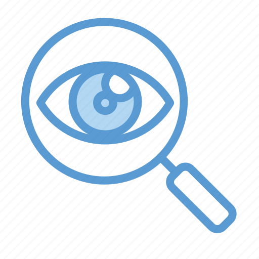 Audit, eye, search icon - Download on Iconfinder