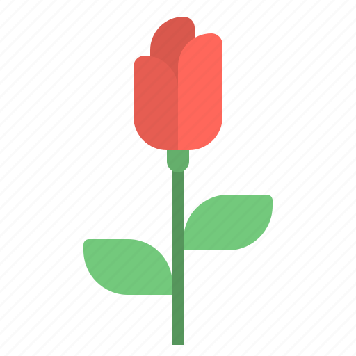 Flower, red, rose, wedding icon - Download on Iconfinder