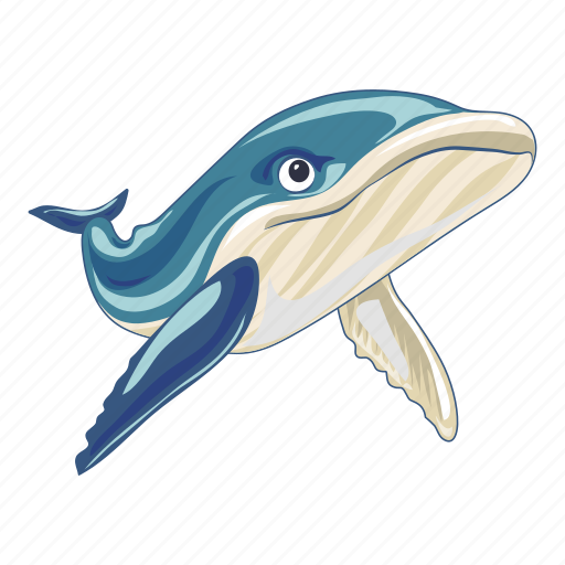 Cartoon, fish, logo, nature, pattern, water, whale icon - Download on Iconfinder