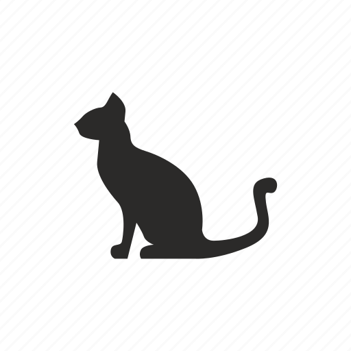 Animal, cat, kitty, pet icon - Download on Iconfinder