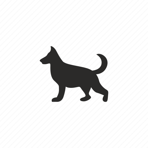 Animal, collie, dog, pet icon - Download on Iconfinder