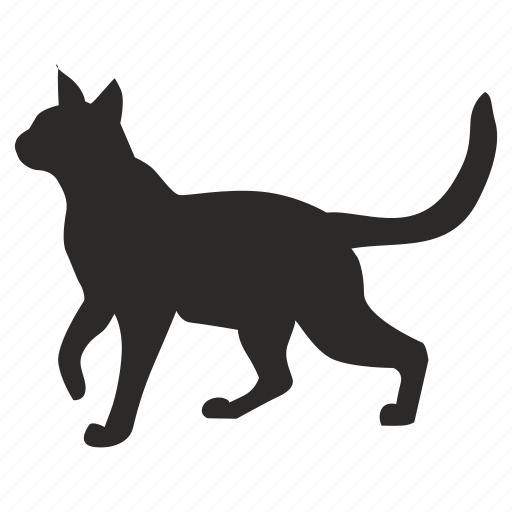 Cat, hungry, pet, puma icon - Download on Iconfinder