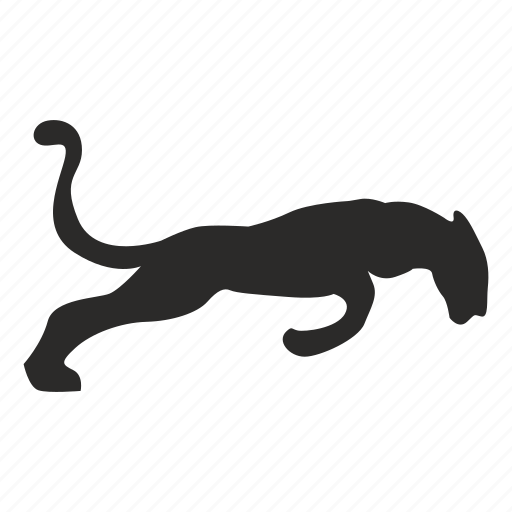 Cat, hunting, jaguar, wild, puma icon - Download on Iconfinder